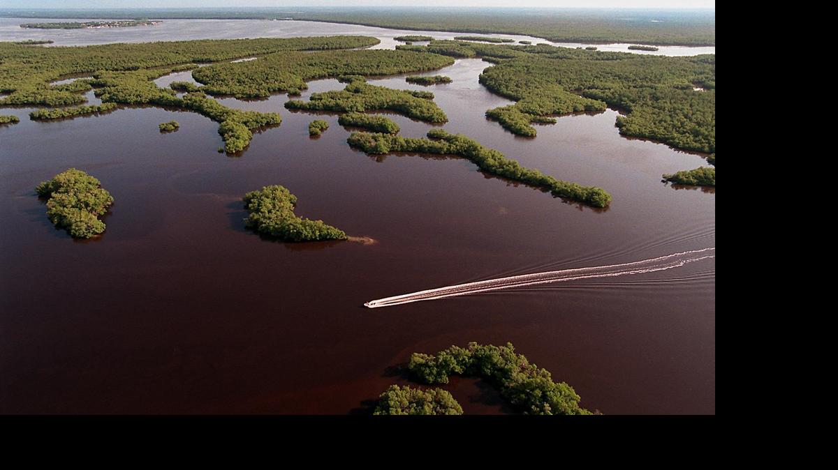 
The South Florida Water Management District, which oversees flood control and water use in 16 counties as well as overseeing the state’s work on Everglades restoration, has called another meeting on July 31 to consider next year’s tax rate. 
