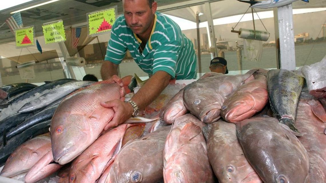 In 2003, Jorge Sanchez stocked red snapper at his Watson Island fish market. A new study of Gulf of Mexico snapper, which plummeted in the 1980s, will help scientists better understand the population and better inform fishing rules at the center of snapper recovery.