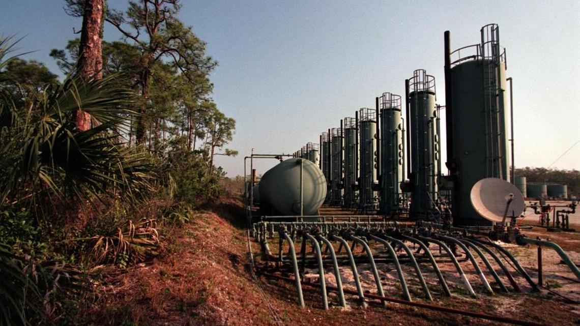 Up to 2,000 barrels of oil a day have been pumped from oil preserves at Raccoon Point in the Big Cypress National Preserve.