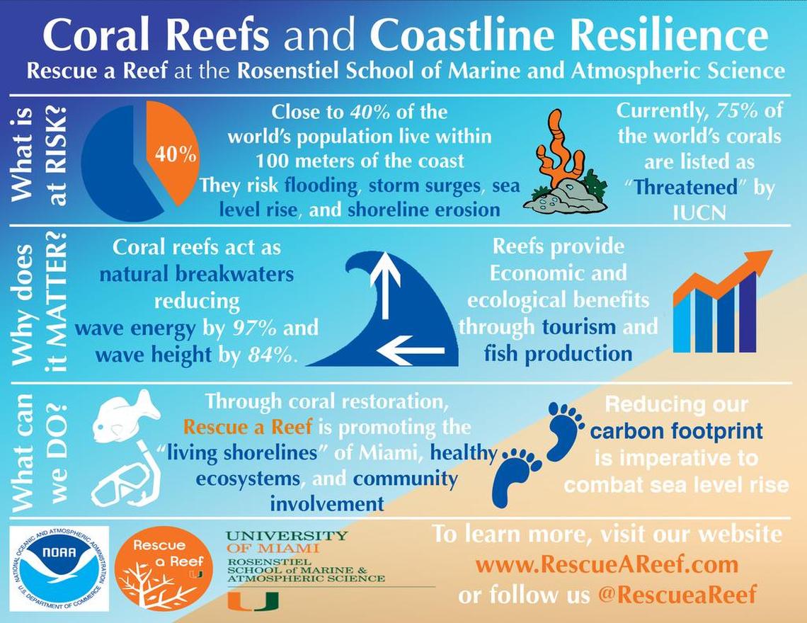 Between 2014 and 2015, coral on Florida’s reef tract suffered back-to-back bleaching events. Rebuilding the reef with transplanted coral could help make South Florida more resilient to erosion from rising seas.