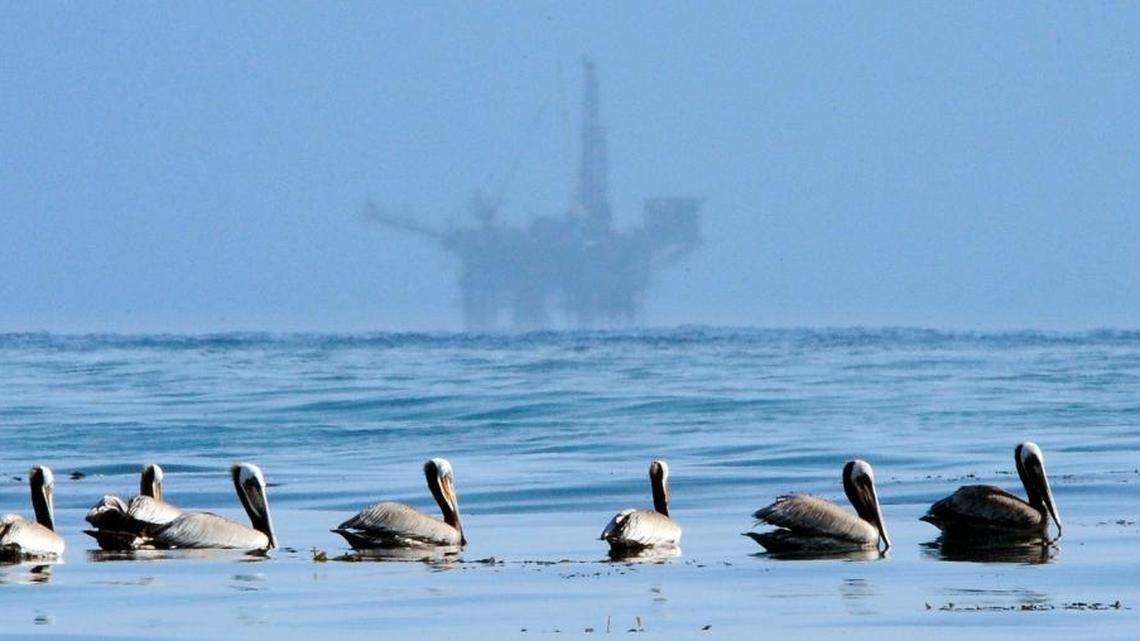 On Thursday the Trump administration announced plans to open up drilling in the Gulf of Mexico off the Florida coast once a ban expires in 2022. This would be the first time since 1988 that the majority of the eastern Gulf would be open, according to the Interior Department.