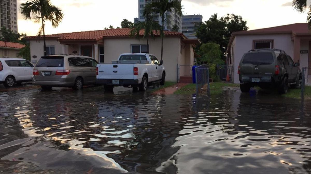 Two weeks after a king tide flooded parts of Miami-Dade, Broward and Monroe counties, a heavy rain flooded this Miami neighborhood near Coral Way and Southwest 23rd Street on Oct. 6.