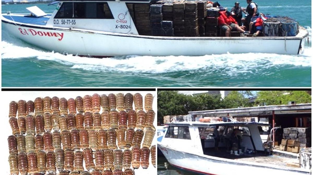 Poachers forfeited the 43-foot El Donny this month after wildlife officers caught them with 87 illegal lobster tails in Biscayne National Park in May.