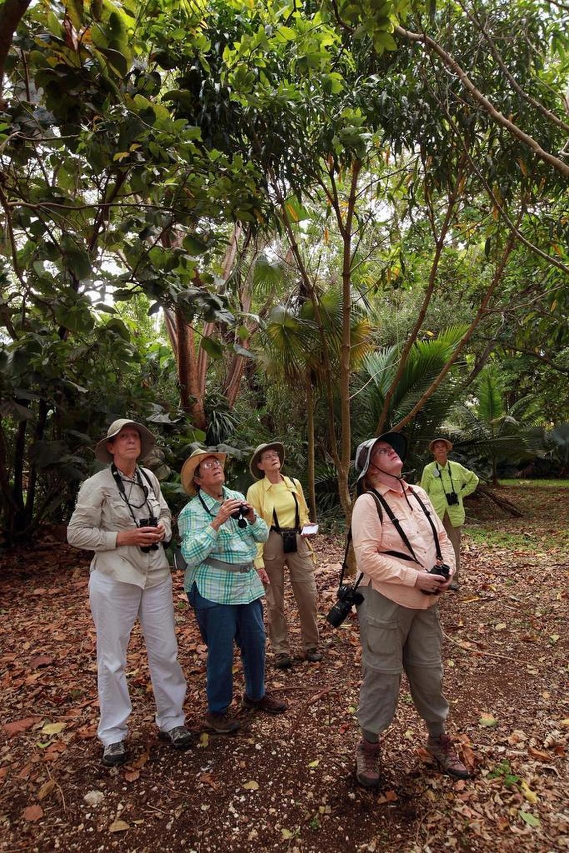 From left, Amy Grimm, Leigh Williams, Linda Cooper, Sue Farnsworth and Linda Evans, look for butterflies last month during the annual count near Homestead.