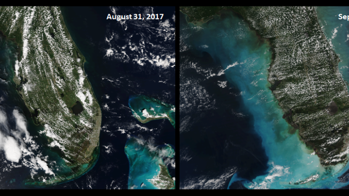 Satellite images taken before and after Hurricane Irma hit the lower Keys on Sept. 10 show the powerful storm churned up miles of sediment. The Florida Keys Marine Sanctuary is now asking boaters for help in mapping changes to waterways and the ocean bottom.