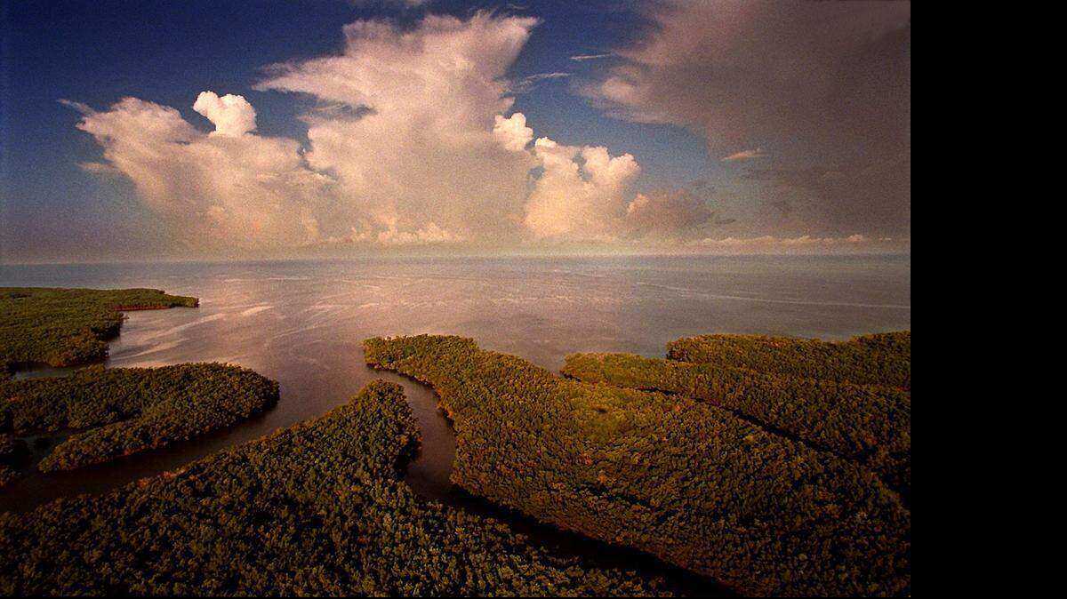 
In this 1997 photo, Shark River empties into the Gulf of Mexico at Ponce De Leon Bay in Everglades National Park. 
