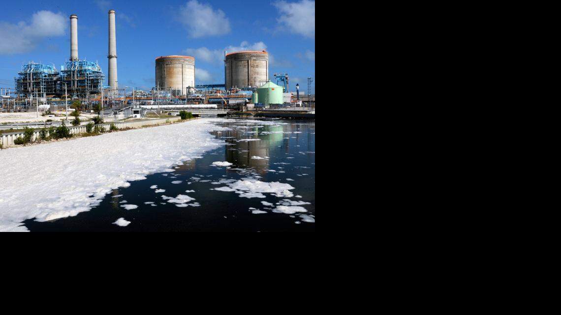 
Salt foam floats on Turkey Point cooling canals in November 2011. Over the summer, the increasingly salty canals topped 102 degrees, forcing the utility to ask federal regulators to increase operating temperature limits from 100 to 104 degrees to avoid having to shut down the plant’s two nuclear reactors. The utility now wants permission to pump up to 100 million gallons of water daily from a nearby drainage canal to freshen and cool the canals.
