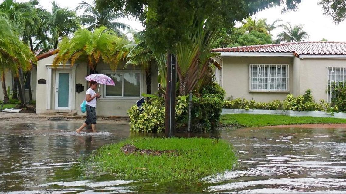 A pedestrian walks along a flooded sidewalk along Alton Road near Michigan Avenue on Tuesday, Aug. 1, 2017, in Miami Beach. New research from NOAA suggests this kind of flooding could happen every day by 2070 under most climate models.