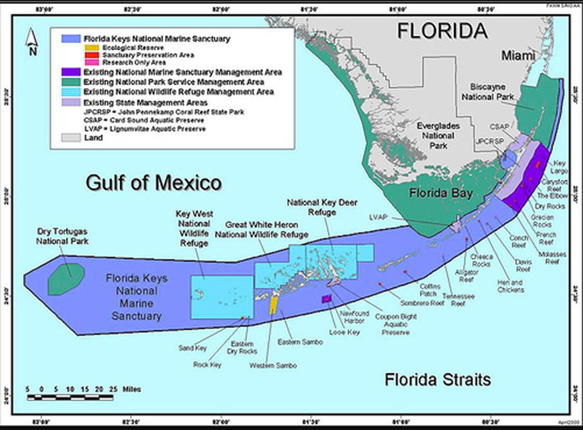 Irma’s powerful winds and storm surge shifted sediment, tossed around debris and dislodged marker and mooring buoys throughout the boundaries of the Florida Keys National Marine Sanctuary, which stretches from the north end of Biscayne Bay to the Dry Tortugas.