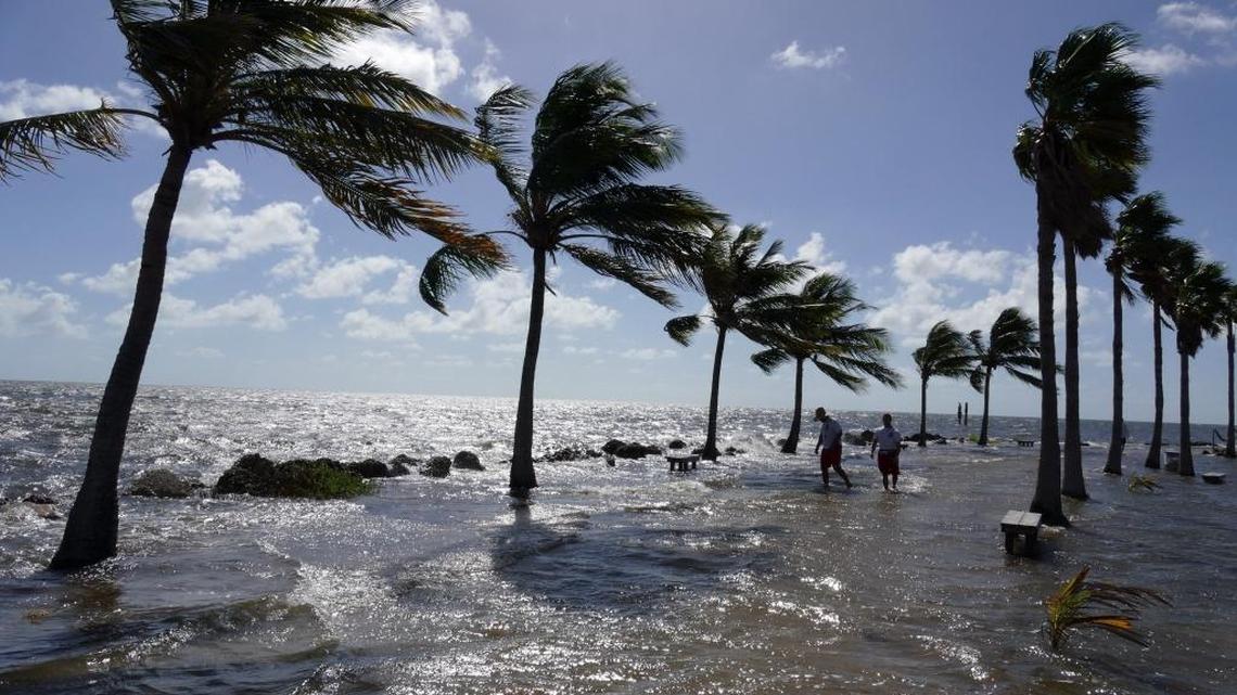 A seawall area floods at Hammock Park last year during King Tide.