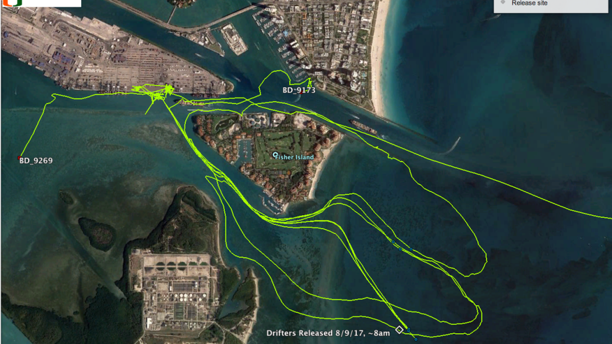After 24 hours, drifters indicated the incoming tide flowed both into Biscayne Bay and out Government Cut.