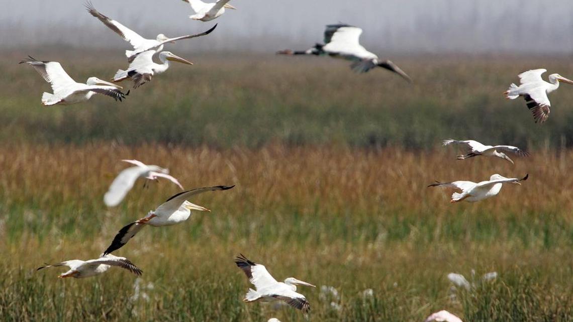 Florida water managers say pollution in Everglades marshes this year was the lowest level since clean-up efforts began, but the Miccosukee Tribe says polluted water on tribal land continues to be excluded from reports.