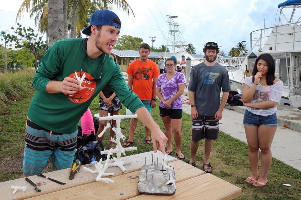 Dalton Hesley, a research association with the University of Miami’s Lirman/Benthic Ecology Lab, explains steps for replanting coral to a reef off Key Biscayne. The university’s Rescue a Reef project is helping rebuild Florida’s ailing reef tract using nursery grown coral. Later in the summer, scientists will begin experimenting with more resilient coral capable of withstanding rising ocean temperatures and other effects from climate change damaging reefs.