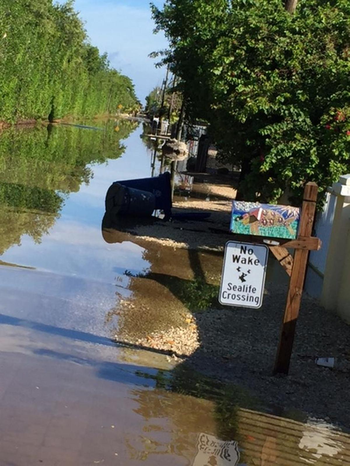 In October 2015, a king tide left one Key Largo neighborhood flooded for about two weeks.