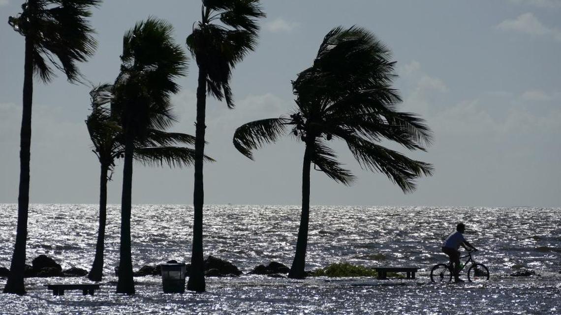 A biker rides along a flooded sidewalk last month at Matheson Hammock Park during a king tide that submerged the beach.