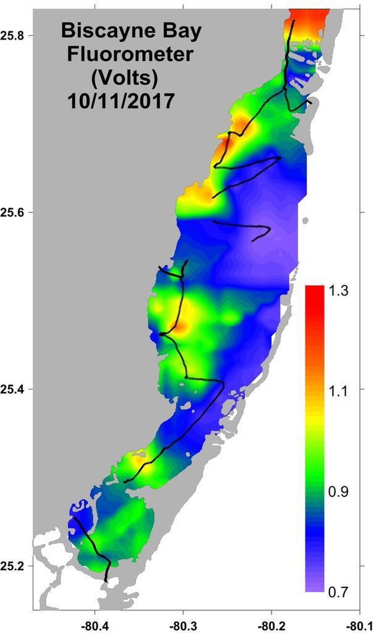 Scientists studying Biscayne Bay after Hurricane Irma have found levels of chlorophyll, the green pigments found in algae, at twice their normal levels in the north end of the bay and areas along the coast, raising concerns about potential blooms. The normal range falls between 0.7 and 0.9 parts per billion.
