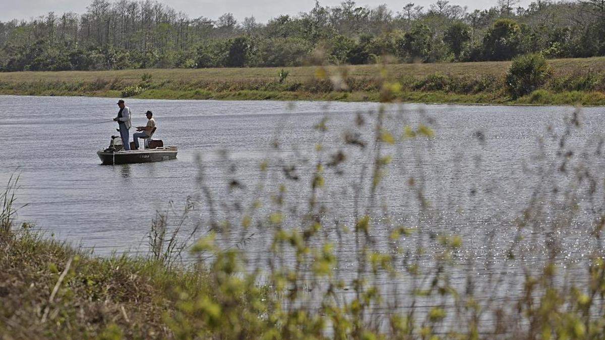 The L-28 Interceptor canal carries polluted water from farm fields and pastures onto Miccosukee wetlands south of Alligator Alley that the tribe hopes to restore. Water sampling by the tribe has detected phosphorus up to 10 times the limit scientists say is needed for healthy marshes.