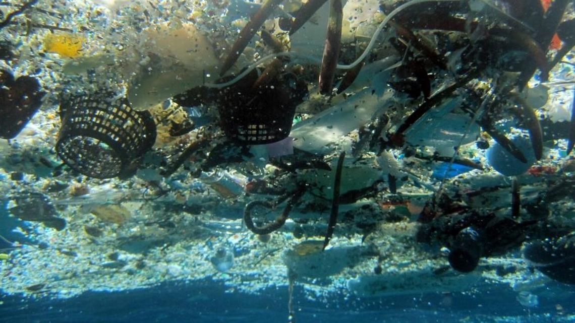 Garbage patches like this one in Hanauma Bay, Hawaii, can be found around the planet, often made up of microscopic plastic invisible to the human eye. A new University of Miami study has found a better way to track their movement.