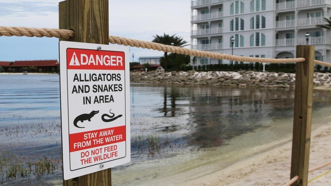 In this Friday, June, 17, 2016 photo released by Walt Disney World Resort, a new sign is seen posted on a beach outside a hotel at a Walt Disney World resort in Lake Buena Vista, Fla.