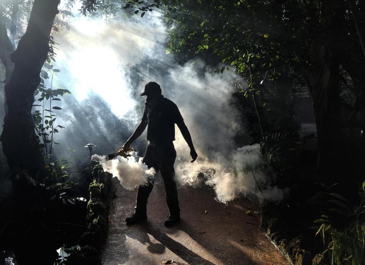 Miami-Dade County mosquito officials have continued to aggressively spray an organic larvicide throughout the winter to reduce the number of Aedes aegyptic mosquitoes that carry the Zika virus.