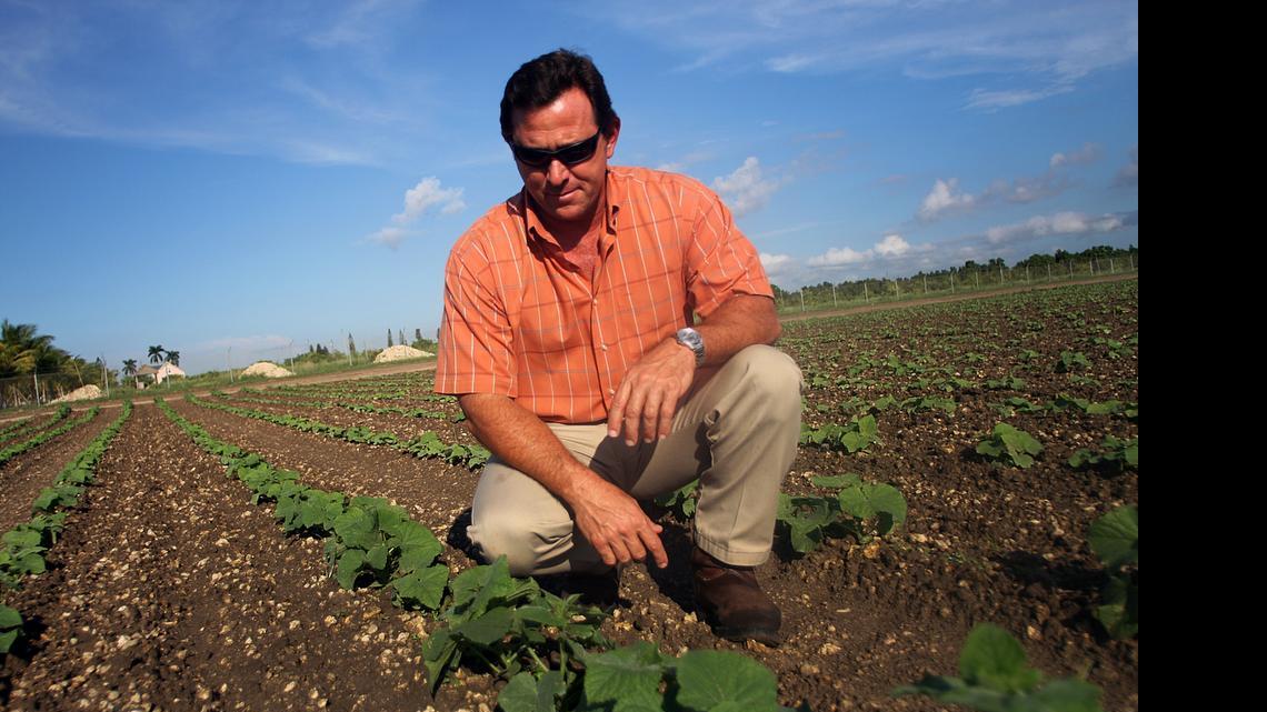 
On Tuesday, Gov. Rick Scott appointed Sam Accursio, pictured here in 2009 inspecting a field of pickling cucumbers, to the governing board of the South Florida Water Management District.
