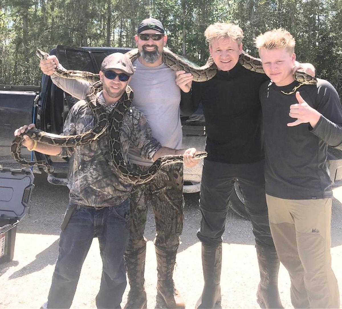 Earlier this year, celebrity chef Gordon Ramsay and his son headed out with hunters hired by the South Florida Water Management District to remove invasive snakes from marshes.