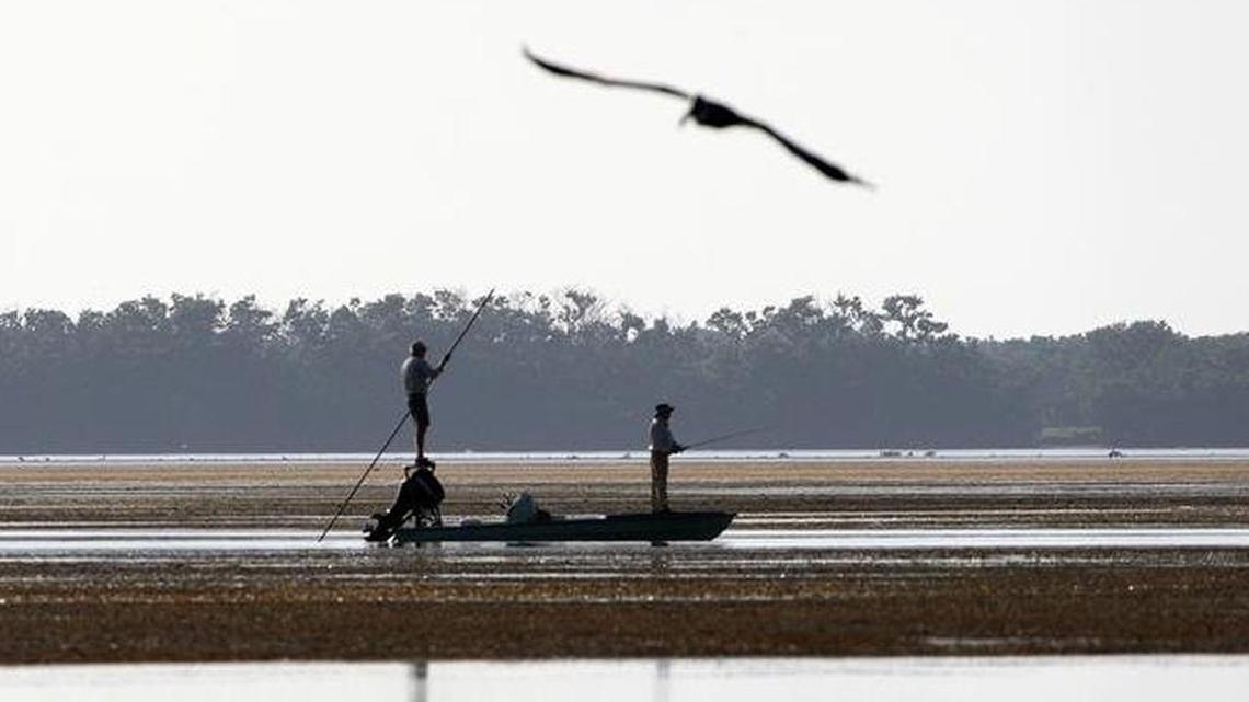Some environmentalists say sweeping revisions to Florida’s water laws will impede efforts to restore the Everglades and help heal Florida Bay, which this summer suffered a massive seagrass die-off. On Wednesday, former U.S. Sen. Bob Graham urged Gov. Rick Scott to veto the measure.
