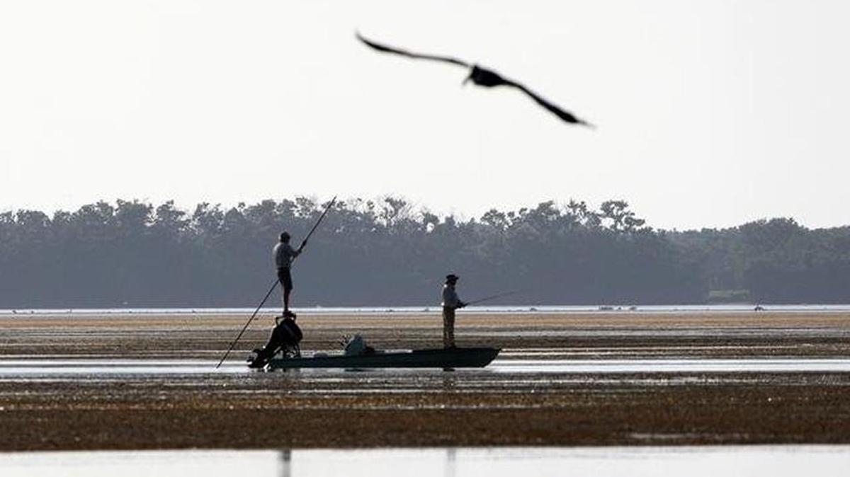 Some environmentalists say sweeping revisions to Florida’s water laws will impede efforts to restore the Everglades and help heal Florida Bay, which this summer suffered a massive seagrass die-off. On Wednesday, former U.S. Sen. Bob Graham urged Gov. Rick Scott to veto the measure.