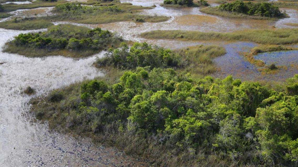 This is a view of the Loxahatchee Wildlife Refuge from December 5, 2016.