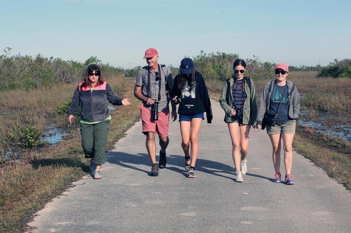 Park guide Stacy Wolfe and a group of tourists from Australia walk along a trail in Shark Valley on Saturday, Dec. 16, 2017. Shark Valley, in Everglades National Park, reopened Saturday to the public after being closed for three months by the effects of Hurricane Irma.