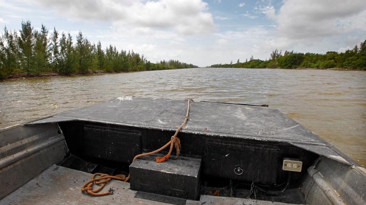 An airboat, captained by Bob Bertelson, land utilization supervisor at the FPL’s Turkey Point power plant, maneuvers down one of the many, shallow, outgoing cooling canals at the plant on Monday, March 28, 2016.