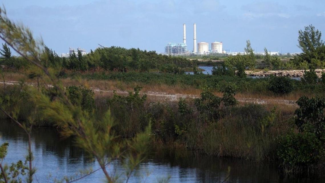 A view of the Turkey Point Nuclear Power Plant in Homestead with the cooling canals in the foreground in 2011.