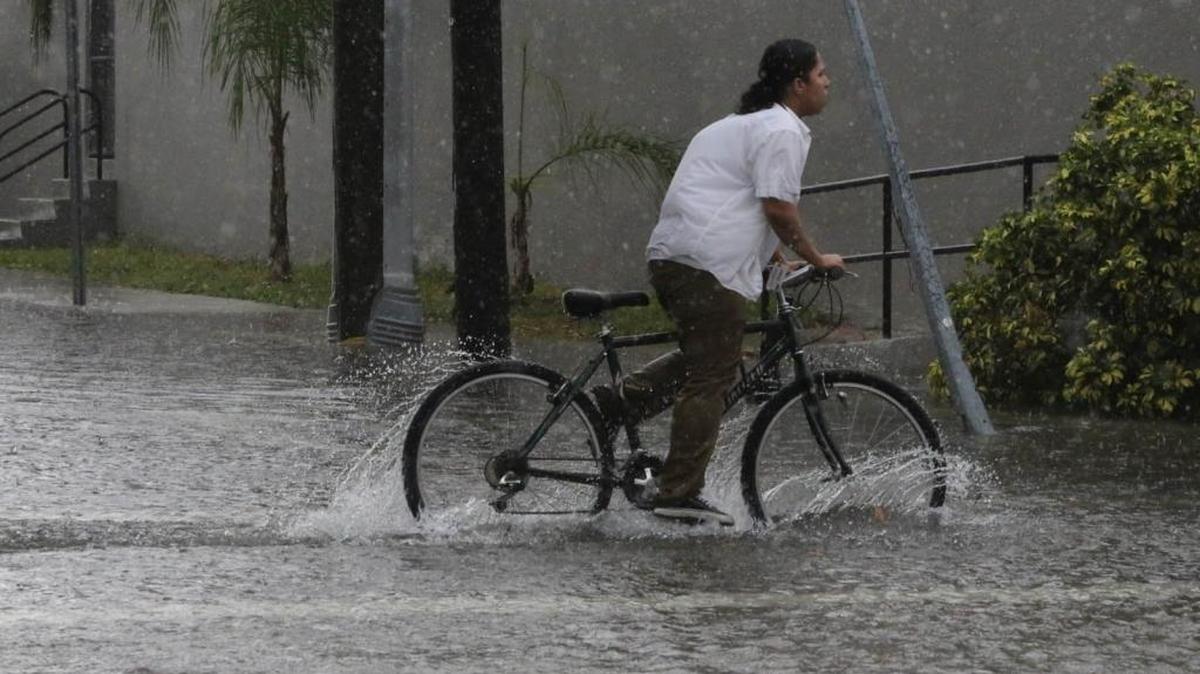 El Niño is likely to cause wet weather this winter.