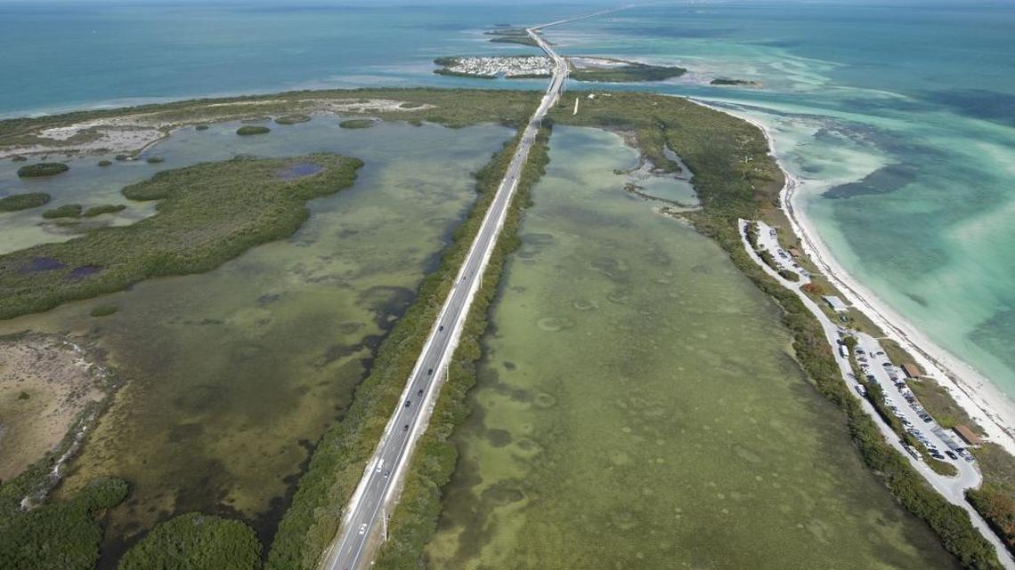 When an earthquake struck Alaska early Tuesday, within an hour seismic waves caused groundwater in parts of Florida to fluctuate.