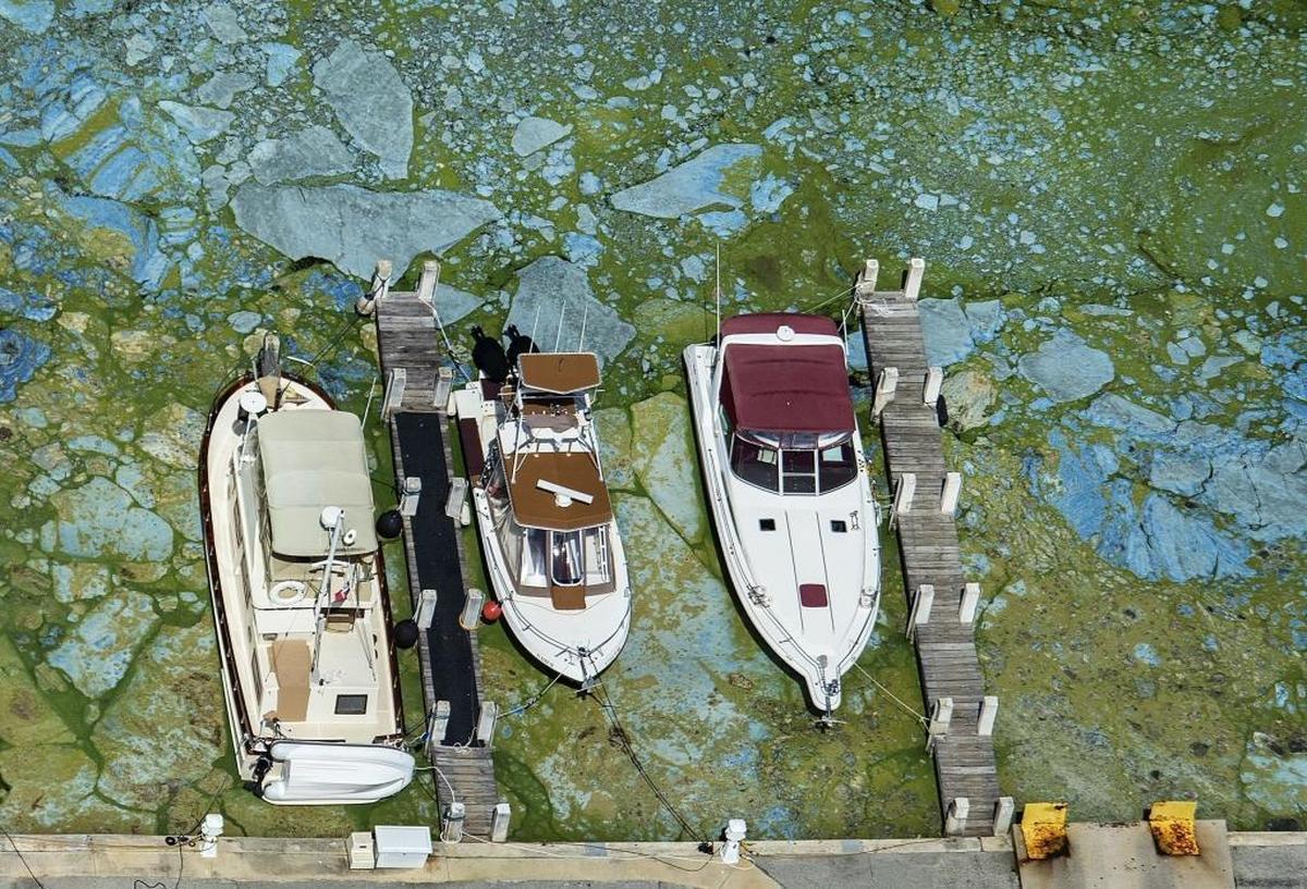 Last year, polluted discharges from Lake Okeechobee into the St. Lucie River prompted Gov. Rick Scott to declare a state of emergency.