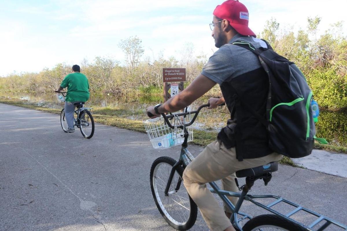 Tourists from Texas ride bicycles in Shark Valley Park on Saturday, Dec. 16, 2017, after the park opened following Hurricane Irma damage.