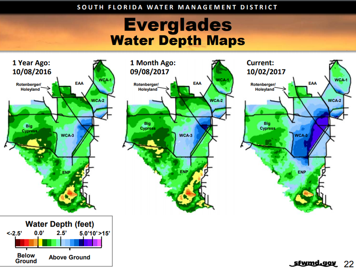 After Hurricane Irma, water levels in water conservation areas, already high from wet season rain, climbed even higher and now threatens the drown out tree islands that can take hundreds of years to form.
