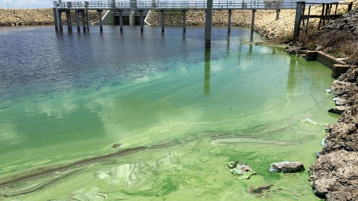 South Florida Water Management District and the US Army Corps of Engineers are in the midst of building a deepwater reservoir and treatment area aimed at reducing the amount of polluted water released from Lake Okeechobee.