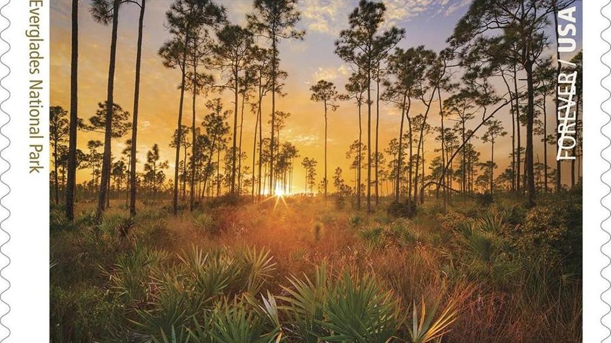 The Everglades National Park Forever Stamp.