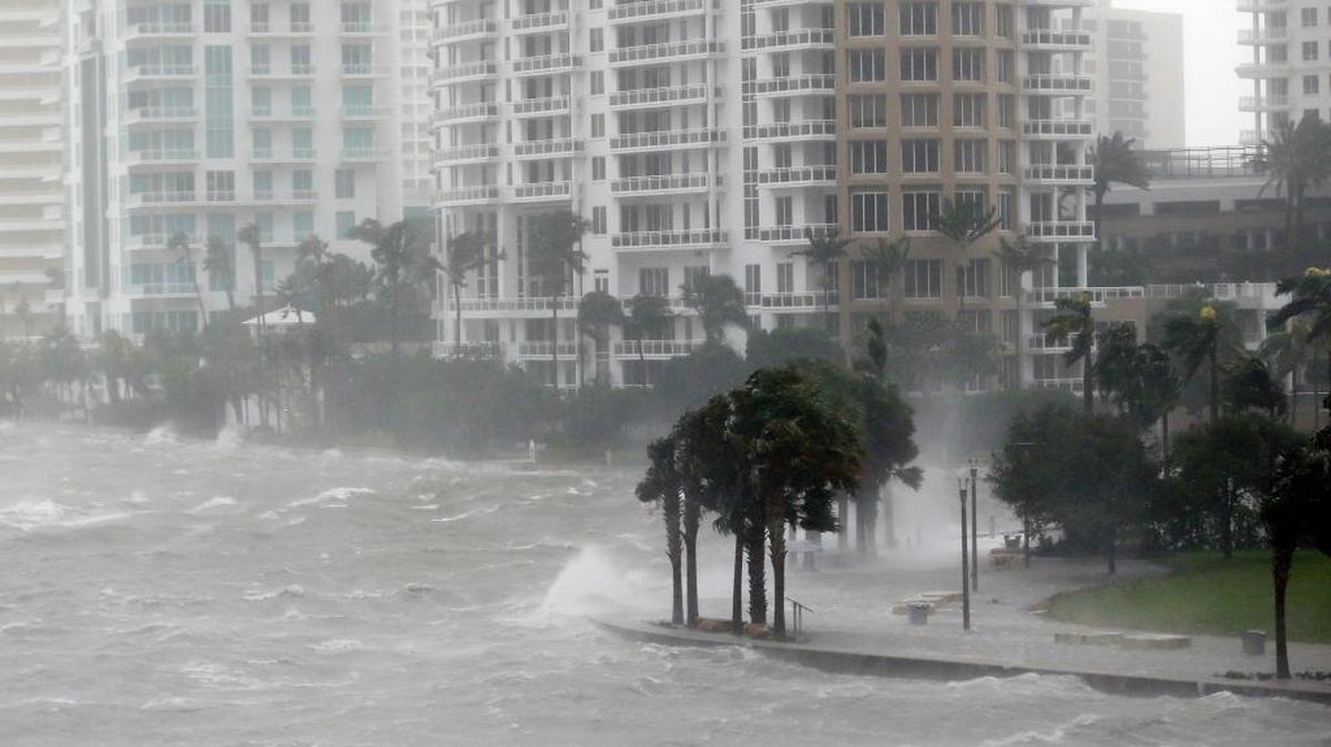 A month after Irma pounded Biscayne Bay, scientists founded elevated levels of chlorophyll and low salinity that they fear may be an early sign of more trouble for the urban bay where 23-square miles of seagrass meadows have died over the last decade.