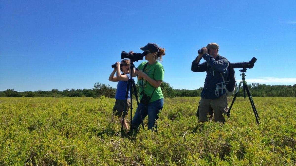 Birders participating in last year’s Audubon Christmas Bird Count at Coot Bay included, from left, Liz Kehas-Dewaghe, Mariel Abreu and France Kehas-Dewaghe.