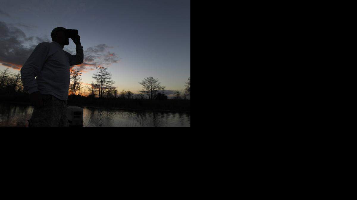 
In 2013, python hunter Rodney Irwin scanned a canal bank for Burmese pythons at dusk. About 1,600 hunters participated in the monthlong challenge, catching 68 pythons. 
