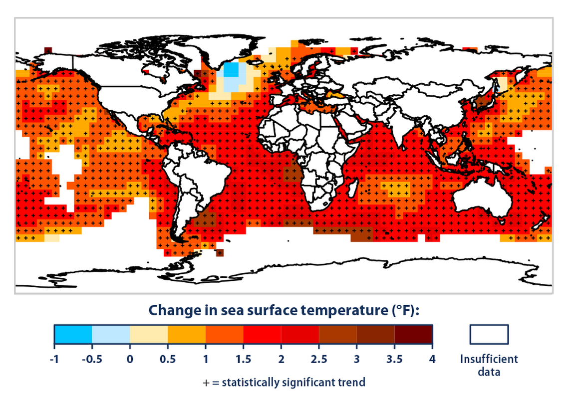 According to the EPA, ocean temperatures have gradually risen since 1900, with the most rapid rise in recorded history occuring over the last three decades. On this map, black “+” symbol indicates where the trend is statistically significant. White areas lacked enough data to calculate reliable long-term trends.
