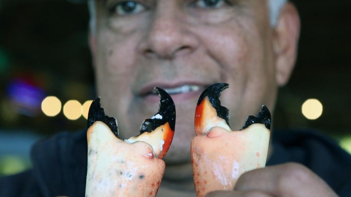 Walter Flores holds a pair of stone crab claws at his Golden Rule Seafood shop in Palmetto Bay, where the Florida delicacy is fetching high prices because of a shortage in catches. Commercial trappers hope the recent cold front will revive the season.