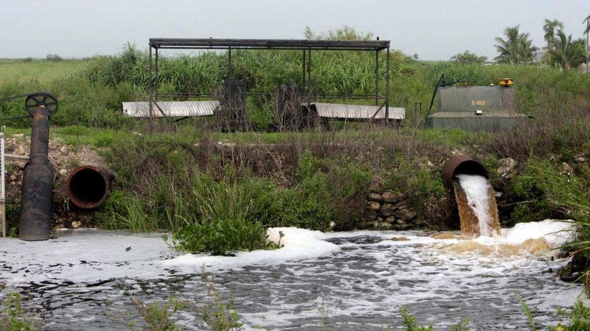 In 1992, Florida agreed to settle a lawsuit over polluted water flowing from farm fields, like this sugar field photographed in 2008, in a consent decree that called for the state to clean up the water. The state now wants to terminate the decree and says most of the water is clean and construction on clean-up projects on schedule. Environmentalists disagree.