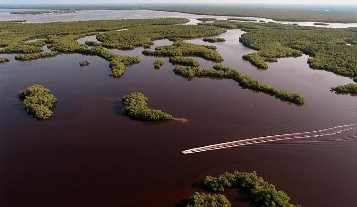 South Florida Water Management District officials say phosphorus levels in marshes south of Lake Okeechobee hit their lowest levels since clean-up efforts began.