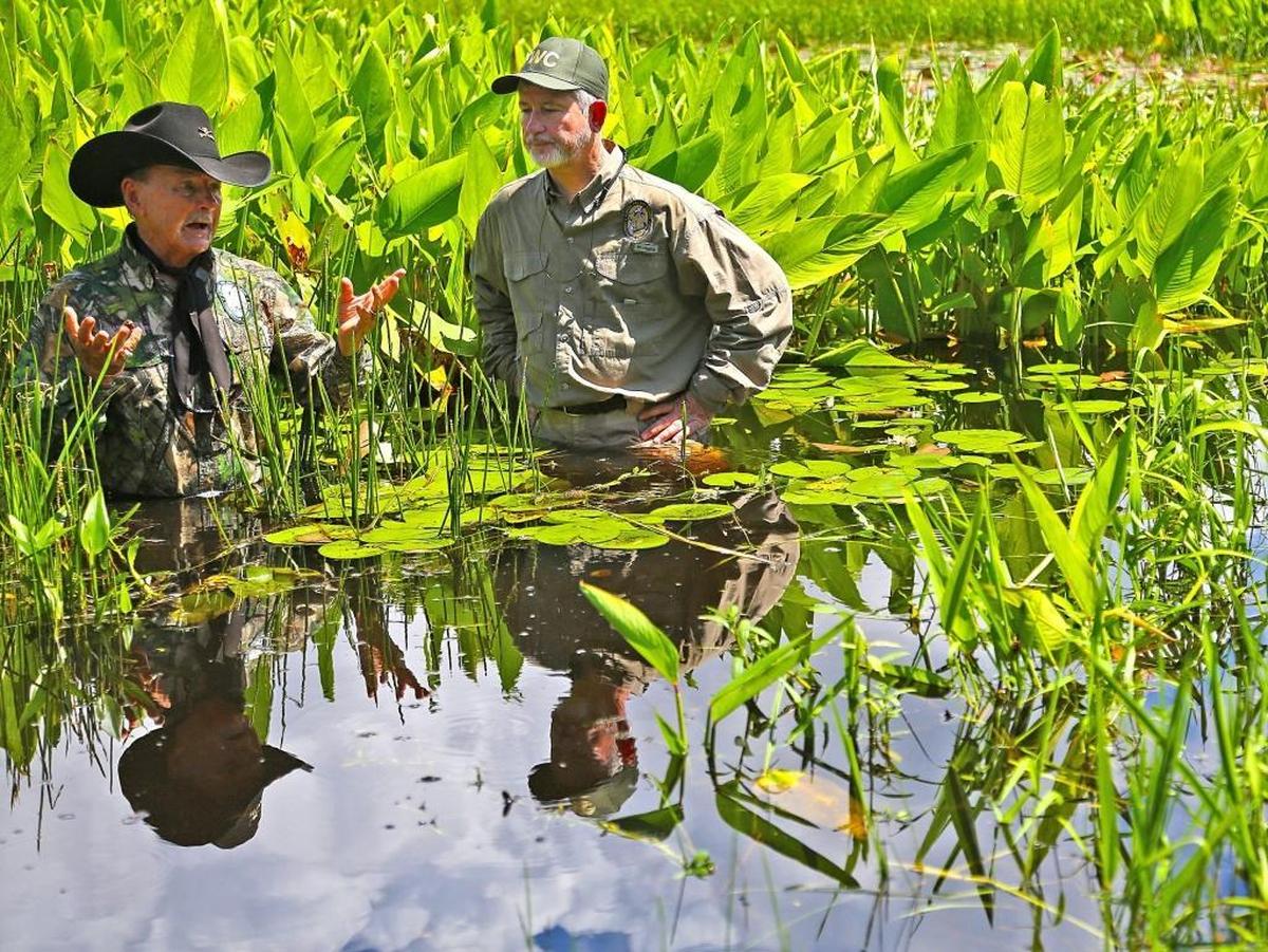 To demonstrate the impact of high water levels, Florida Fish and Wildlife Conservation Commissioner Ron Bergeron, left, and Executive Director Nick Wiley stand in waist-high water near Bergeron’s family camp south of Alligator Alley.