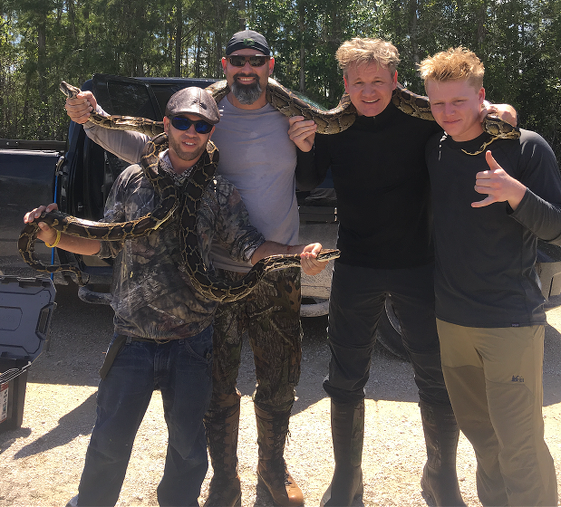 Chef Gordon Ramsay and his son Jack have been among the celebrities and politicians who have participated in the South Florida Water Management District hunt to draw attention to damage caused by the invasive snake.