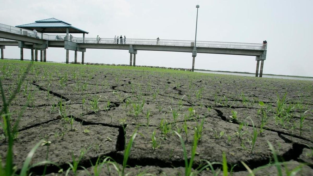 A worsening drought led South Florida water managers to issue a water shortage warning Thursday, instructing 8 million residents to voluntarily conserve water. If the shortage persists, mandatory restrictions may be issued.