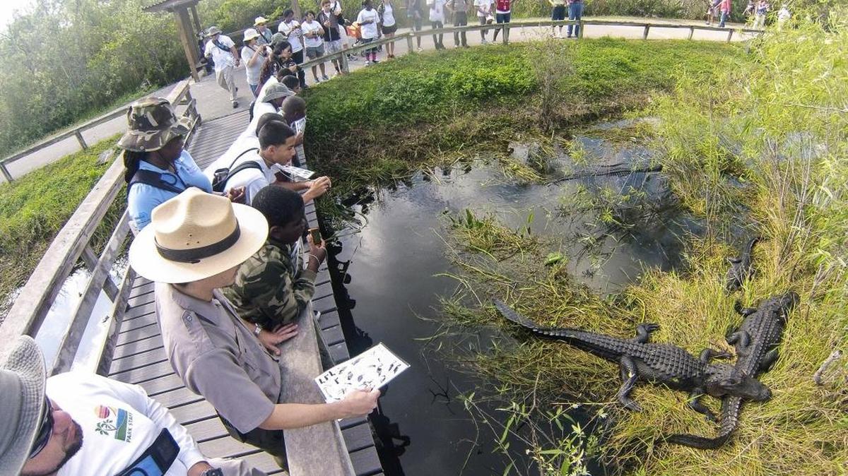 A ranger gives a guided tour in Everglades National Park in this 2012 file photo.
